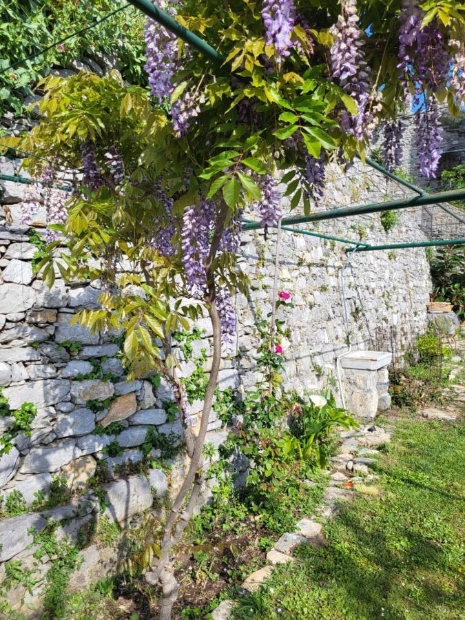 La BouganVilla Porto Venere Extérieur photo