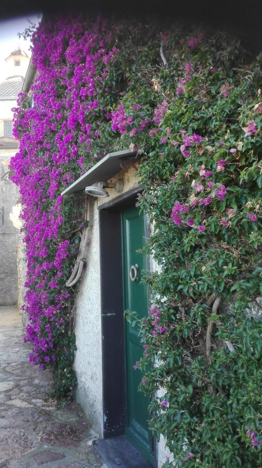 La BouganVilla Porto Venere Extérieur photo